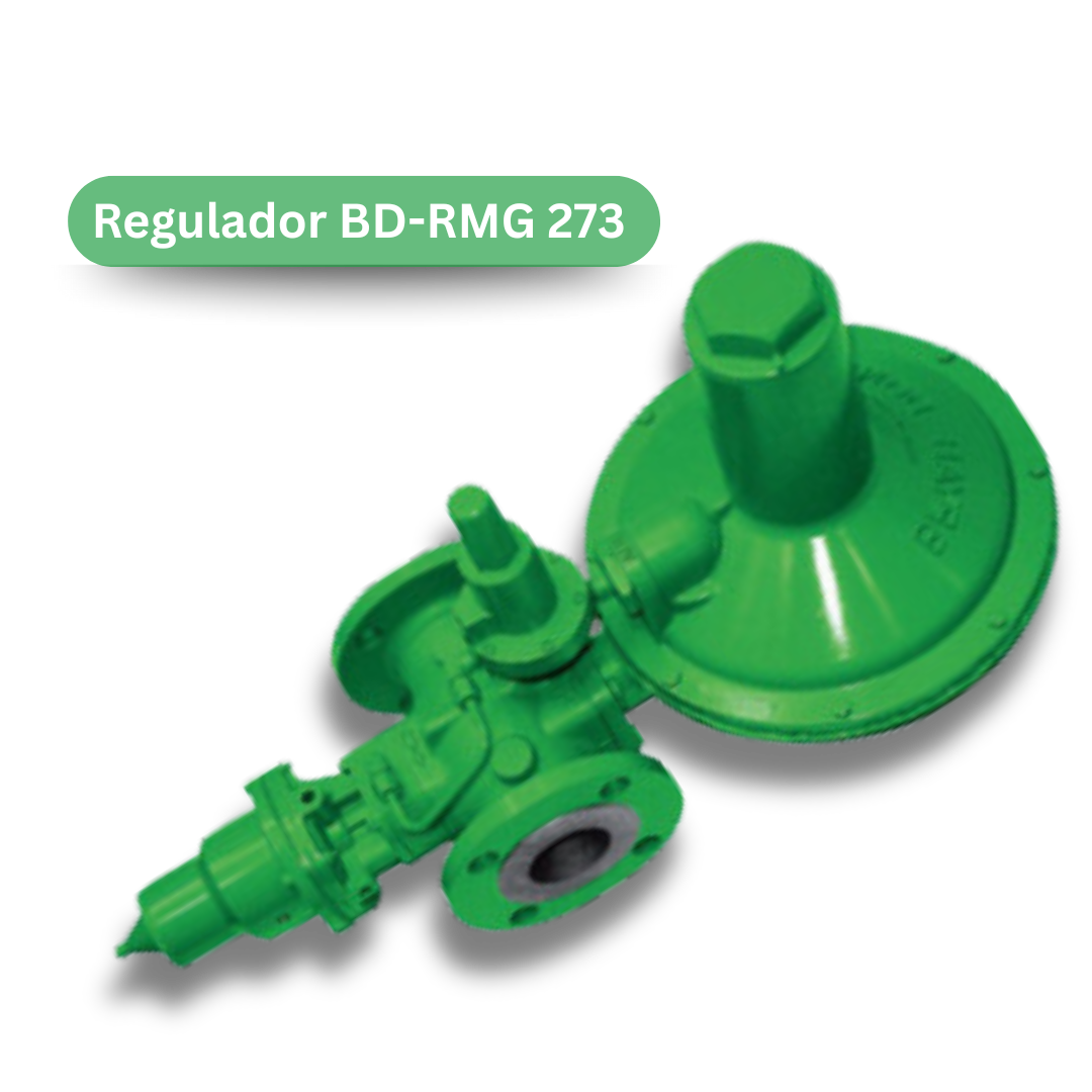 Regulador BMG 273 (1)